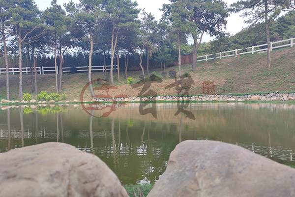 在沈阳墓地是否可以打伞？解析民间忌讳与文化含义 